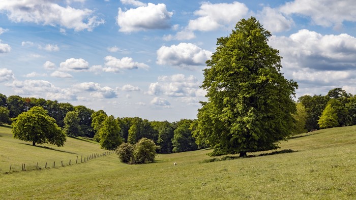 Tylers Green, England - Rolling Grasslands with Trees and Clouds