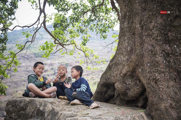 Three young Asian boys sitting on rocks under a tree