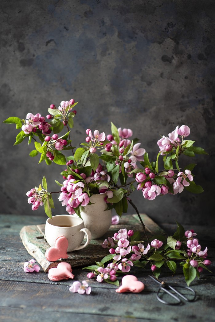 Still life with apple blossoms, tea cup, and heart cookies