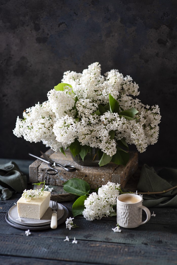 Still life with white lilac, cake, and coffee