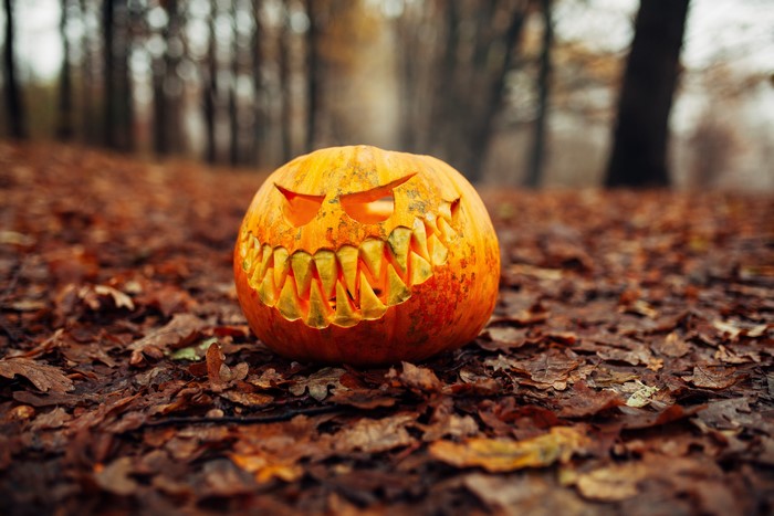 Carved Halloween Pumpkin in Autumn Forest