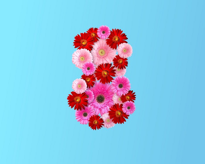 Number 8 made of Gerberas on blue background