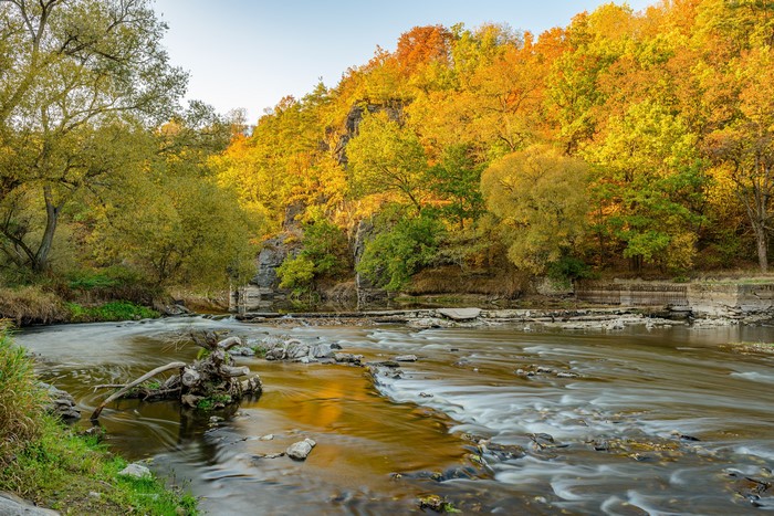 River in Autumn Forest with Stones