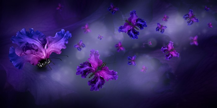 Purple Butterflies Made of Flower Petals