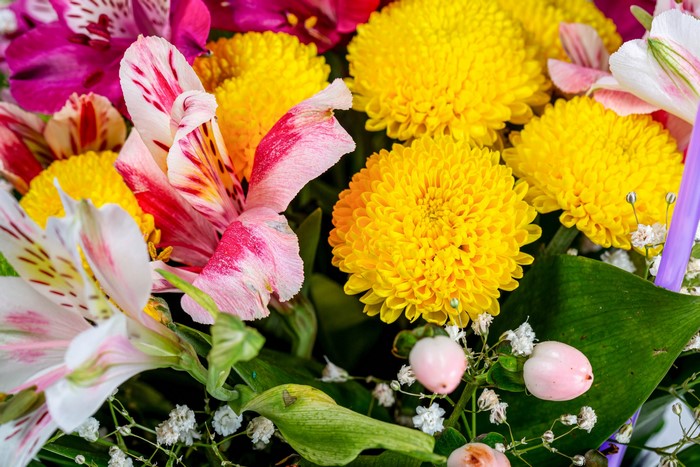 Close-up of a bouquet with yellow chrysanthemums and pink alstroemeria
