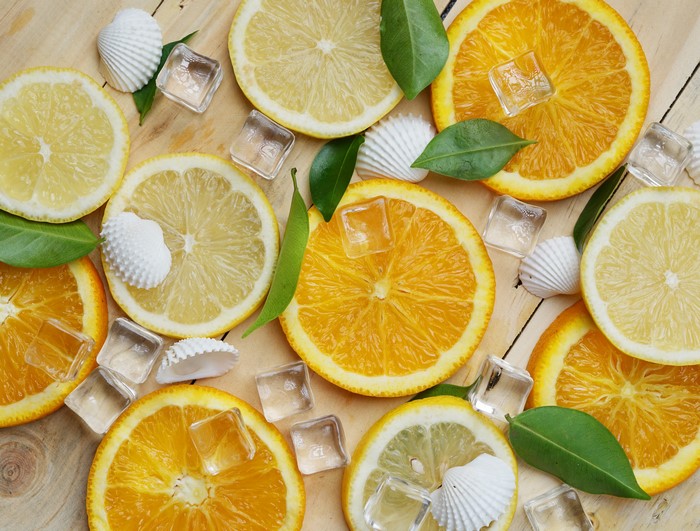 Orange and Lemon Slices with Shells and Ice