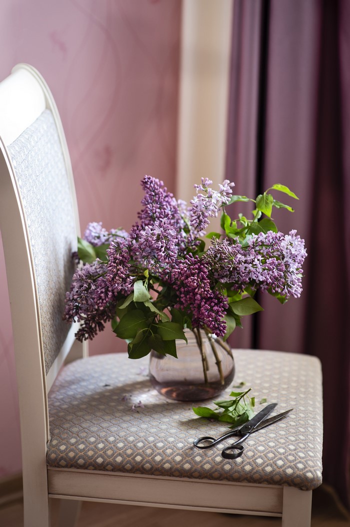 Lilac flowers in a vase on a chair with scissors