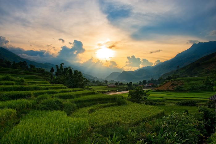 Terraced Rice Fields in Sapa, Vietnam at Sunset