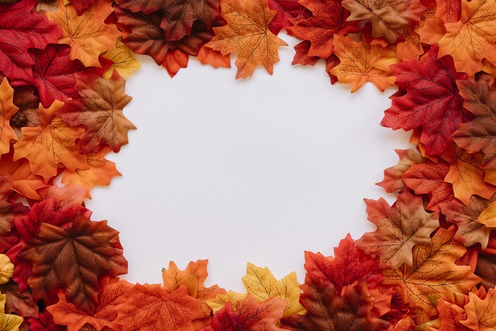 Autumn Maple Leaves Border Template