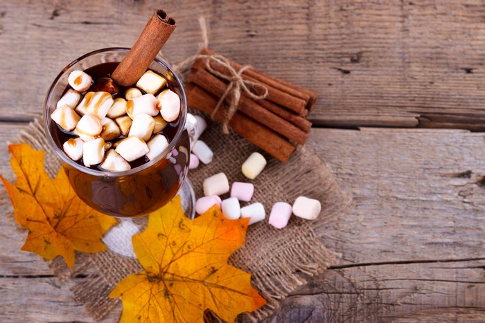 Hot chocolate with marshmallows and cinnamon sticks