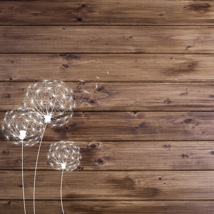 Dandelions blowing on wood planks