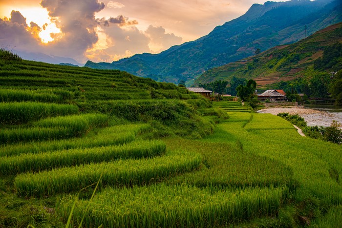 Terraced Rice Fields in Sapa, Vietnam with Mountains and Clouds