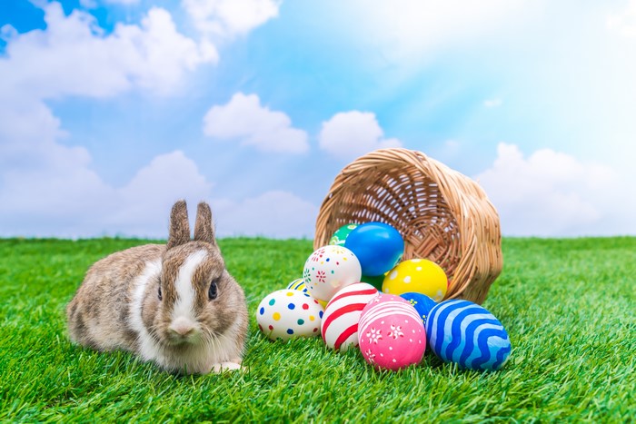 Easter bunny with decorated eggs and wicker basket on grass