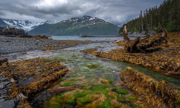 Alaska Mountains and Coastline with Forest