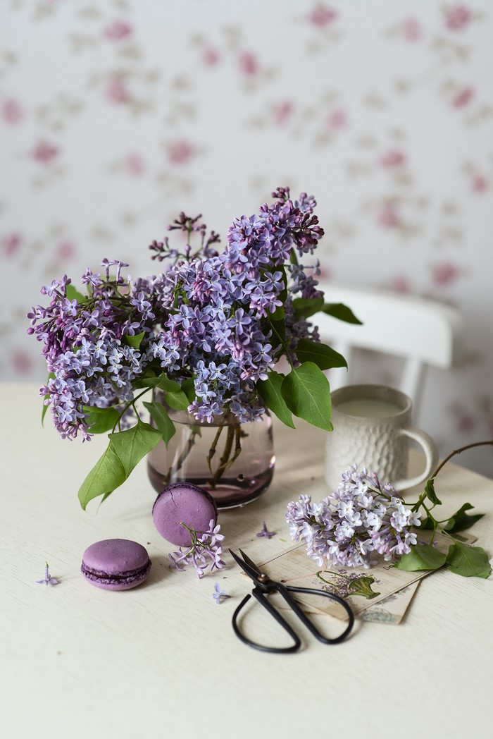 Still-life with Lilac, Macarons, and Cup