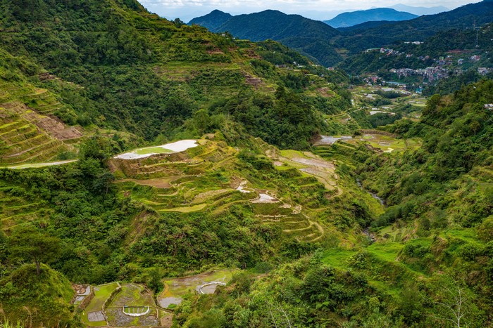 Banaue Rice Terraces in Ifugao, Philippines from Above