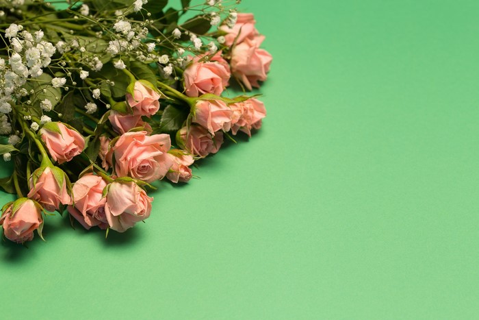 Pink Roses and Baby's Breath Bouquet on Green Background
