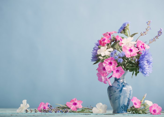4K Phlox Bouquets in Vase