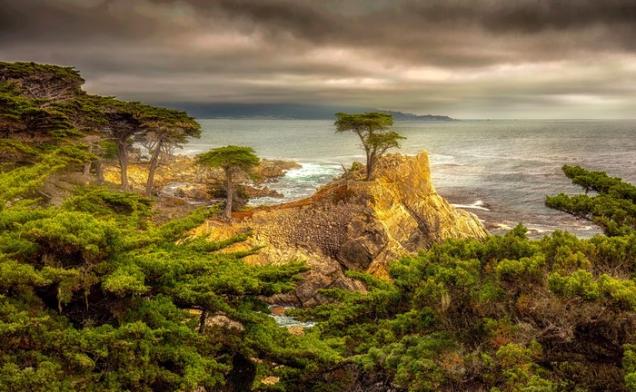 California Coastline with Cypress Trees and Rocky Outcrop