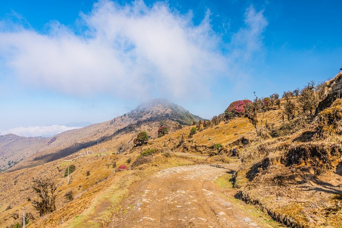 Trail through Singalila National Park, West Bengal, India