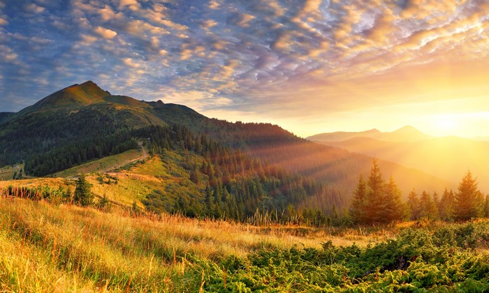 Sunrise over forested mountains with sun rays