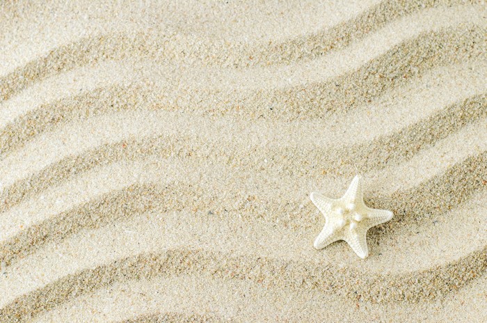 Starfish on Sand Texture