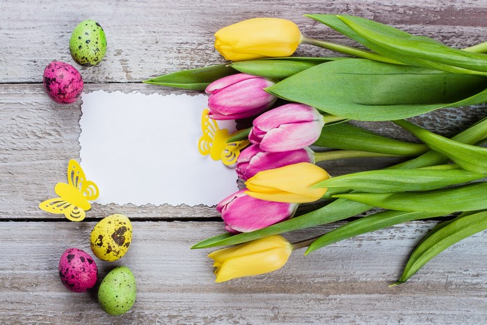 Easter Tulips and Eggs Template Greeting Card
