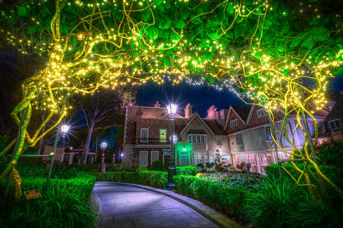 Disneyland California Anaheim Night Street Lights Fairy Lights Houses