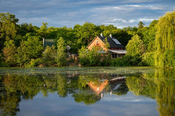Barn and pond with reflections and trees