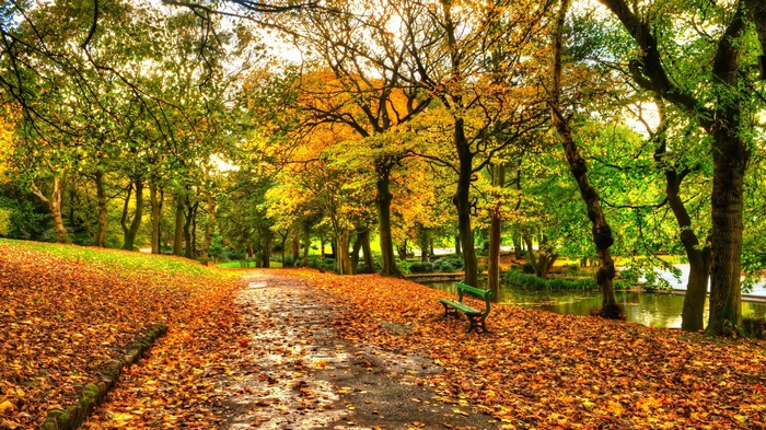 Autumn park path with fallen leaves and a bench