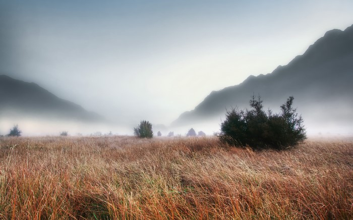 Foggy Mountains Over a Grassy Field