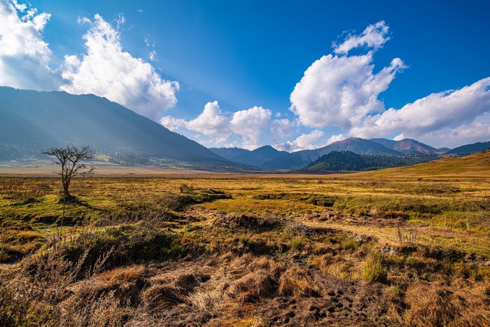 Gangteng Valley, Bhutan, Mountains, Grasslands, Sky, Clouds