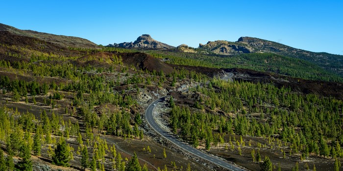 Road through Teide National Park, Tenerife, Spain