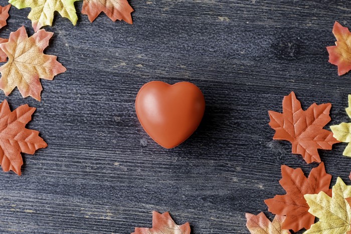 Brown Heart and Autumn Maple Leaves on Dark Wood