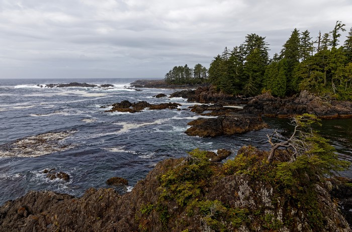 4K Ucluelet British Columbia Coast Ocean Crag Trees