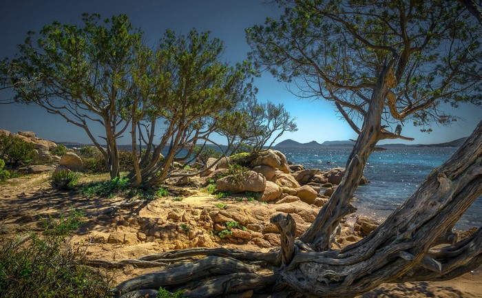 4K Coastline with Trees and Rocks in Sardinia, Italy
