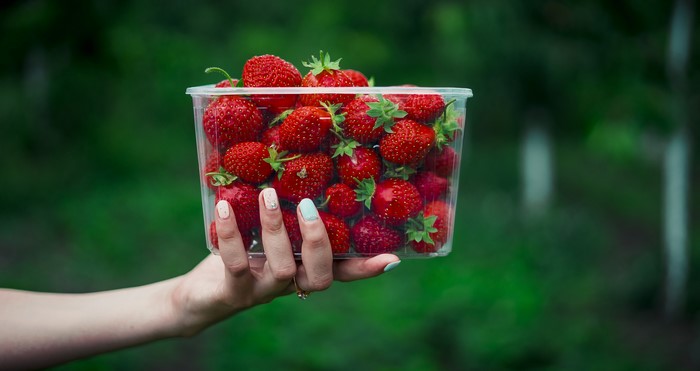 Hand holding a box of fresh strawberries