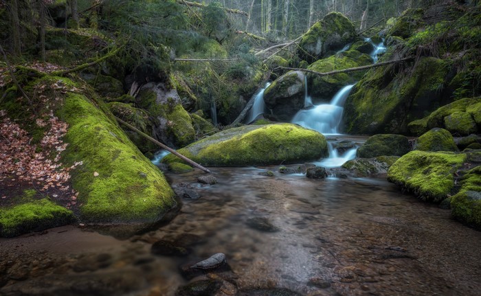 4K Mossy Stones and Waterfalls in Forest Stream