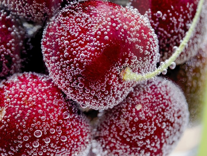 Cherries covered in water bubbles
