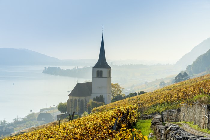 Church and vineyard overlooking Lake Biel, Switzerland