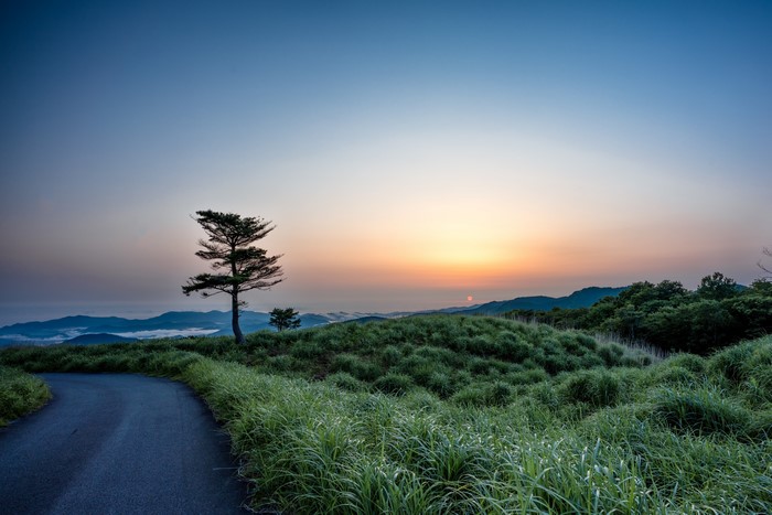 Sunrise over a grassy hill with a road and trees