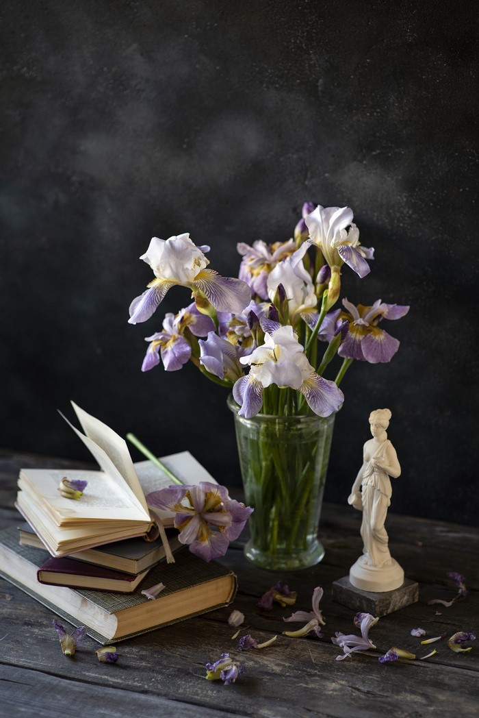 Still life with irises, books, and statue