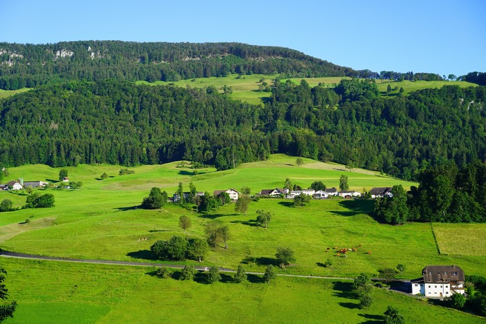 Village in the Swiss Alps with Forests and Grasslands