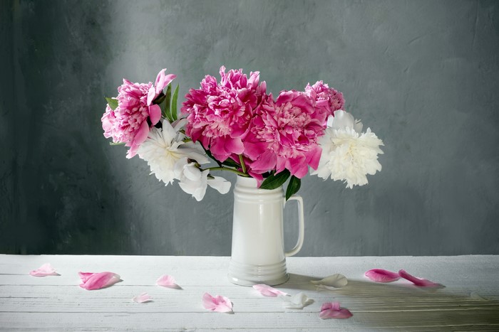 Pink and White Peonies in a White Vase