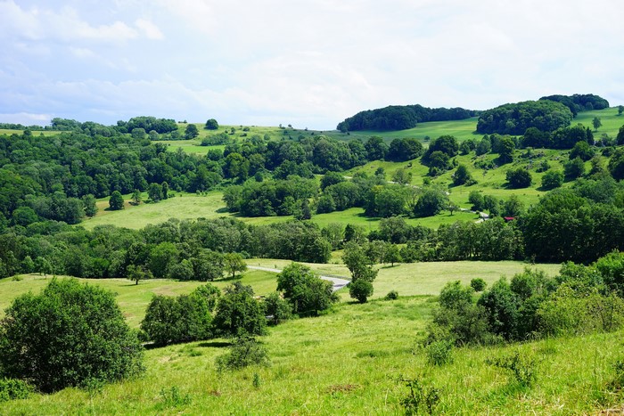 Rolling green hills and forests in Switzerland