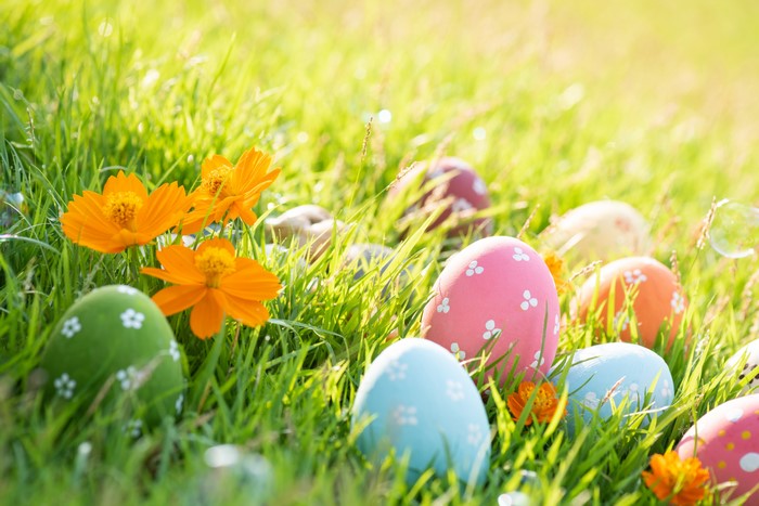 Easter Eggs and Orange Flowers in Grass