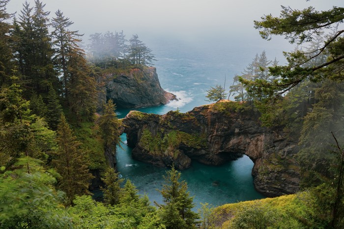 4K Misty Coastline with Rocky Crags and Trees in USA