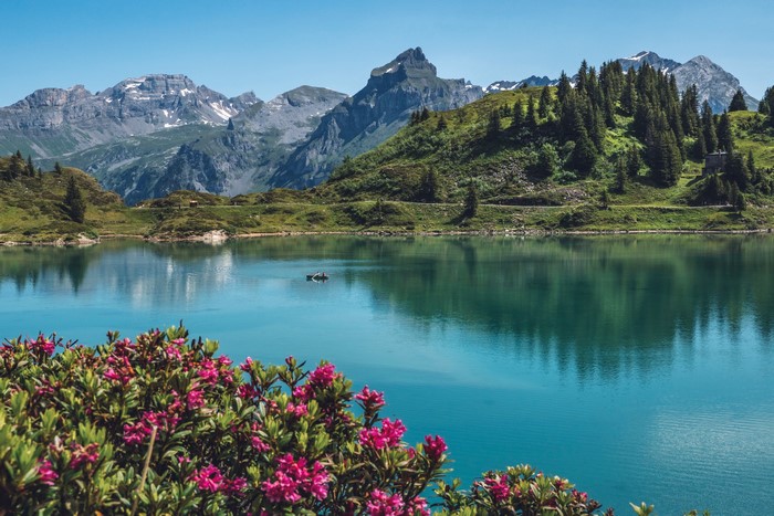 Lake and Mountains in Switzerland