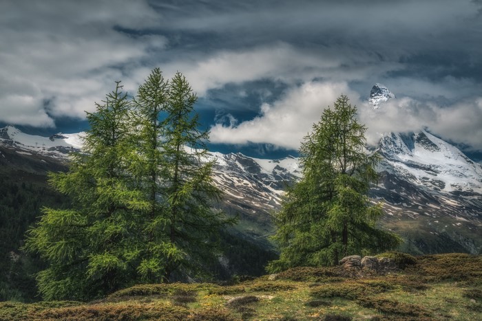 Zermatt, Switzerland Mountains with Spruce Trees and Clouds