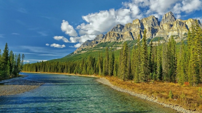 River and Mountains with Pine Forest